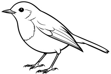 Obraz premium robin bird line art silhouette vector illustration