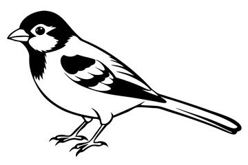 sparrow line art silhouette vector illustration