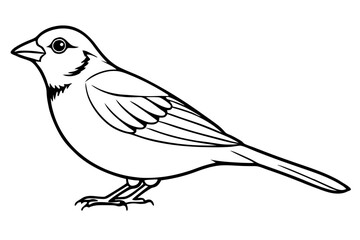 sparrow line art silhouette vector illustration