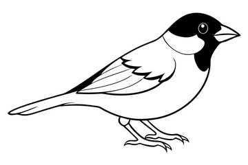 sparrow line art silhouette vector illustration