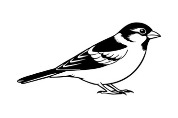 sparrow line art silhouette vector illustration