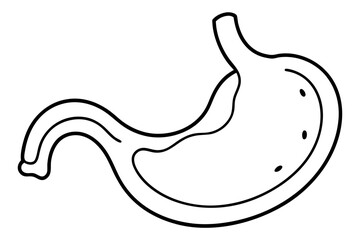 stomach line art silhouette vector illustration