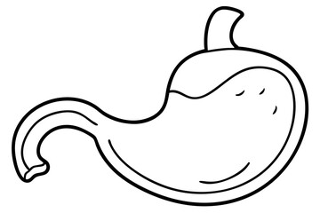 stomach line art silhouette vector illustration