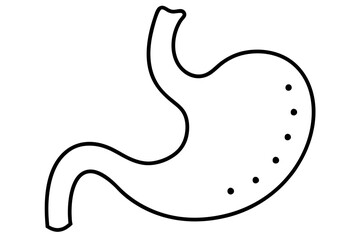 stomach line art silhouette vector illustration