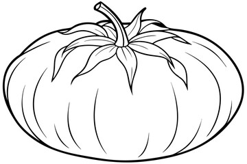 tomato line art silhouette vector illustration
