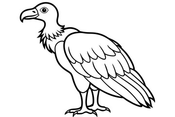 vulture line art silhouette vector illustration