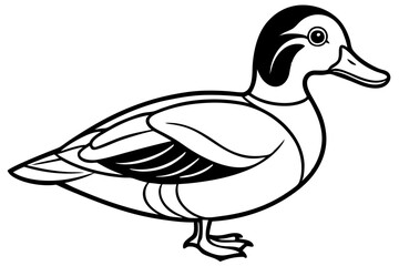 wood duck line art silhouette vector illustration