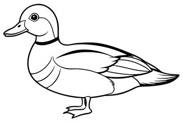 wood duck line art silhouette vector illustration