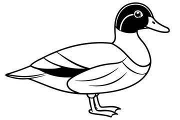 wood duck line art silhouette vector illustration