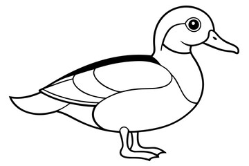 wood duck line art silhouette vector illustration