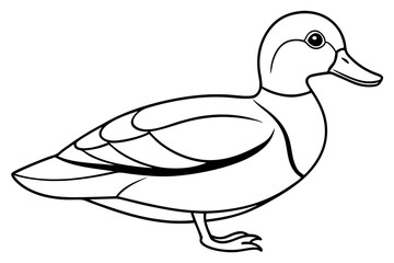 wood duck line art silhouette vector illustration