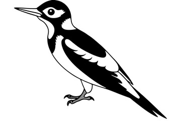 woodpecker line art silhouette vector illustration