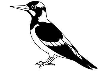 woodpecker line art silhouette vector illustration
