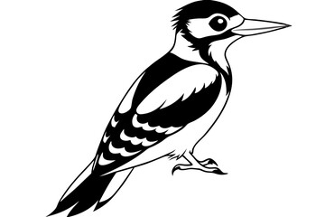 woodpecker line art silhouette vector illustration