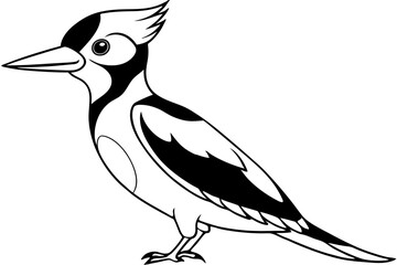 woodpecker line art silhouette vector illustration