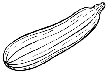 zucchini line art silhouette vector illustration