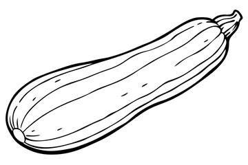 zucchini line art silhouette vector illustration