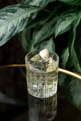 Served in a crystal glass filled with ice and garnished with a sugar cube, this cocktail offers a refreshing experience in a charming European eatery adorned with lush plants