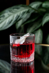 A sophisticated cocktail rests in a stylish glass, showcasing deep red liquid and a delicate garnish