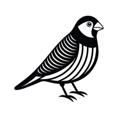Australian zebra finch silhouette vector art illustration
