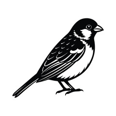 Fototapeta premium sparrow silhouette vector art illustration