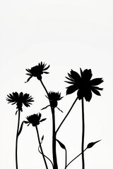 Silhouette of various flowers against a white background