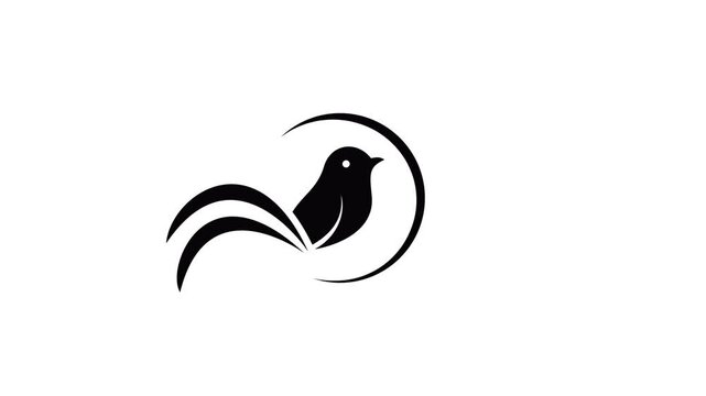 bird symbol animation transition from top to bottom, transition from left to right, slide from top to bottom, slide from left to right