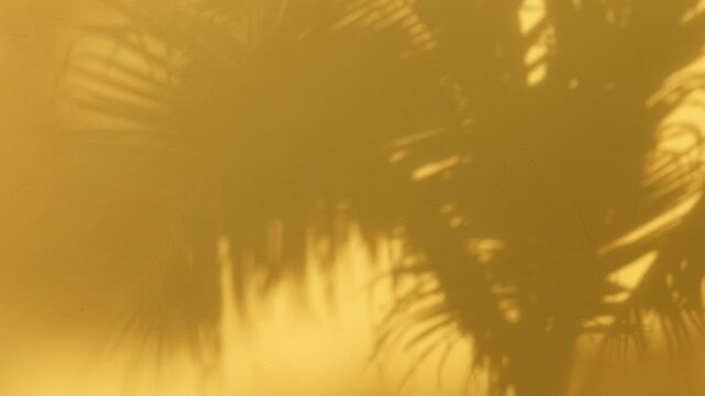 Palm tree branch n leaf shadow overlay on yellow orange brown concrete industrial wall texture in tropical summer sun light or sunlight daylight sunshine day, silhouette 4k abstract nature background