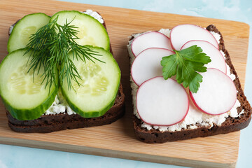 Freshly prepared open-faced sandwiches with cucumbers and radishes