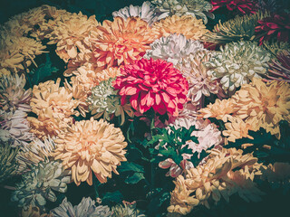 - March 20, 2025 : Vintage floral arrangement featuring colorful chrysanthemums in aged tones....