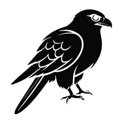 Obraz premium Bold Black Silhouette of a Raptor