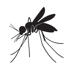 Malaria mosquito vector 