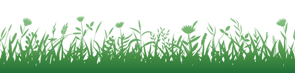 Drawn grass isolated on white background, seamless border, vector design