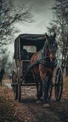 A horse pulls a carriage along a dusty country road