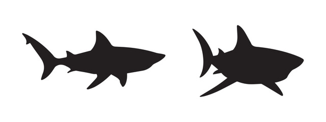 A silhouette of shark silhouettes On white background. A two marine predator