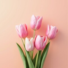 Fototapeta premium These beautiful flowers are known for their vibrant colors and elegant petals