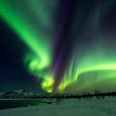 rainbow over the sea