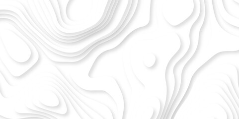 Abstract white paper cut background with lines. Background of the topographic map. White wave paper curved reliefs abstract background. Realistic papercut decoration textured with wavy layers.