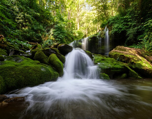 Obraz premium A cascading waterfall surrounded by lush greenery captured with soft lighting to represent freshness and purity