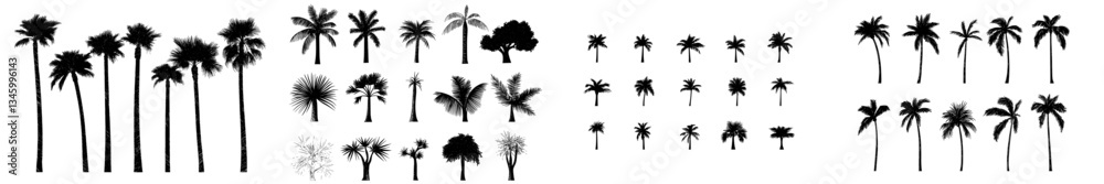 Poster Modern design featuring silhouettes of palm trees isolated on a white background with a black palm tree set