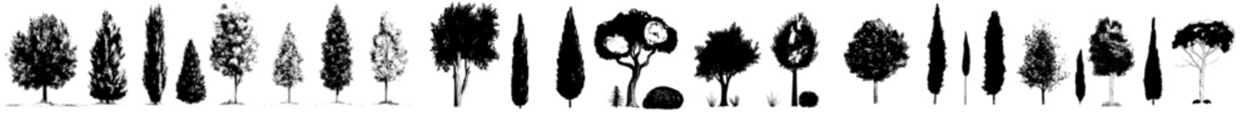 Naklejka premium Modern illustration of a park garden with decorative green trees, coniferous and deciduous plants, and a summer landscape design featuring thuja and spruce in pots