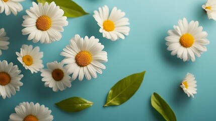 Obraz premium Blue background with a bunch of white flowers and green leaves