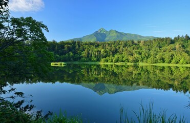 緑に包まれた姫沼・利尻富士