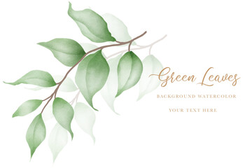 beautiful green leaves background watercolor
