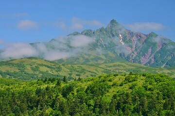 Fototapeta premium 青空に映える夏の利尻富士