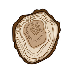 growth tree rings cartoon vector illustration