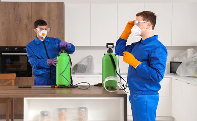 Male workers with disinfectant in kitchen