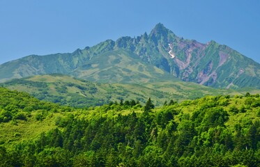 Fototapeta premium 青空に映える夏の利尻富士