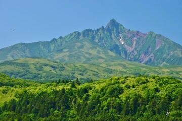 Obraz premium 青空に映える夏の利尻富士