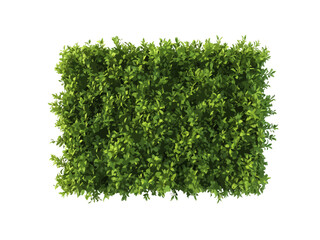 Naklejka premium A vector illustration of a rectangular hedge viewed from above, isolated on a transparent background, ideal for landscaping, gardening, and nature-related designs.